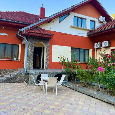 Pensiunea Orhideea Băile Herculane Zewnętrze zdjęcie