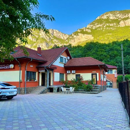 Pensiunea Orhideea Băile Herculane Zewnętrze zdjęcie